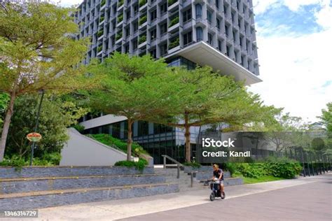The Green: Construction Photos May2020 .